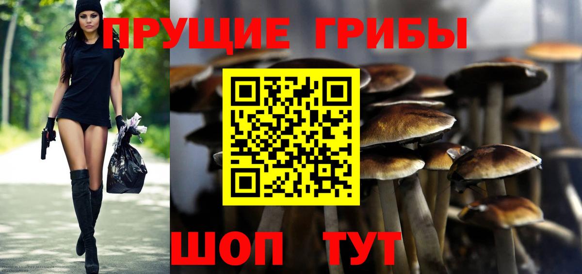 Псилоцибиновые грибы мухоморы Керчь
