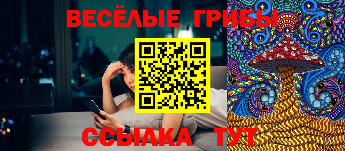 Керчь  Псилоцибиновые грибы Psilocybe  Псилоцибиновые грибы Psilocybine cubensis  Вход с VPN 